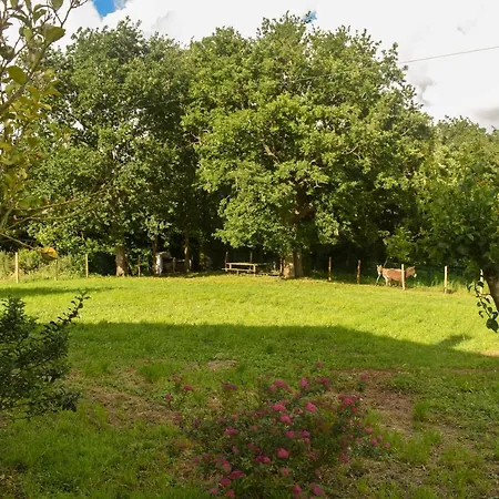 ¡nueva! Encantadora Casa Rustica, Comoda Y Amplia. * Pontones (Cantabria)